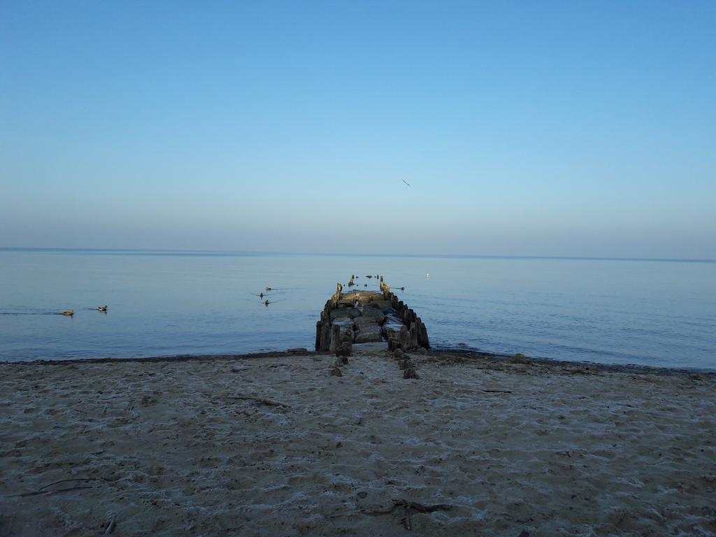 شقة Seaside Lesne Tarasy دجيفنوفيك المظهر الخارجي الصورة